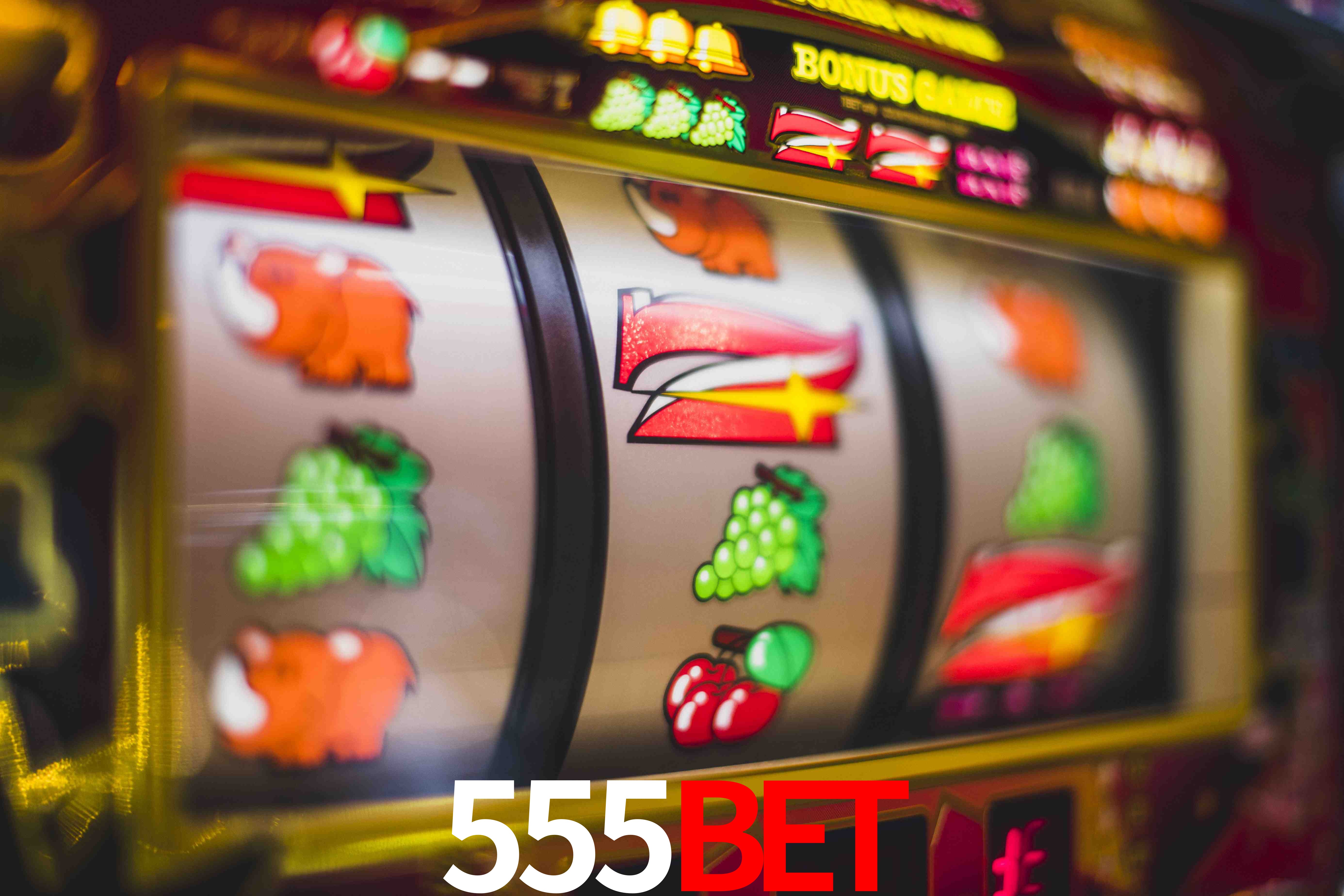 Basketball Betting 555BET